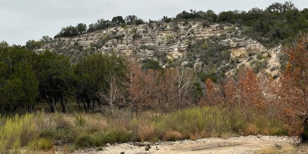Listing image 115290-0