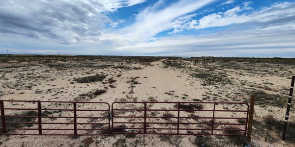 Listing image 119150-0