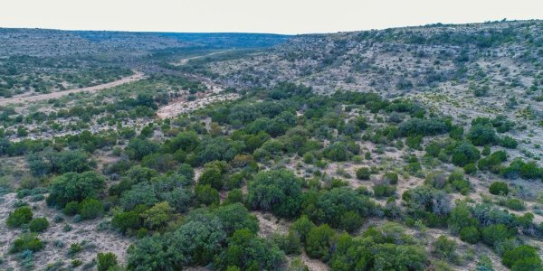 Listing image 119420-0