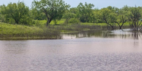 Listing image 121353-0