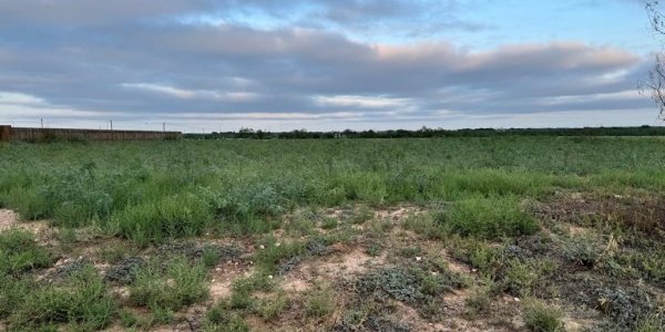 Listing image 124701-0