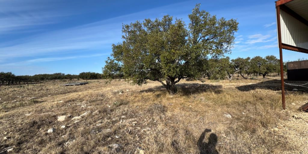Listing image 126032-0