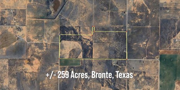 Listing image 126553-0